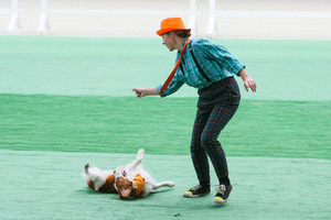 Открытые и квалификационные соревнования по танцам с собаками фото - 10