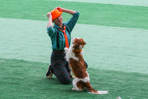 Открытые и квалификационные соревнования по танцам с собаками фото - 5