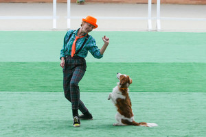 Открытые и квалификационные соревнования по танцам с собаками фото - 6