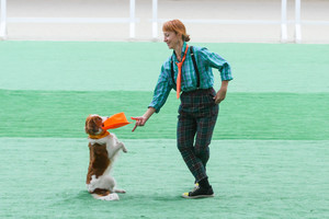 Открытые и квалификационные соревнования по танцам с собаками фото - 1