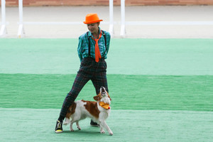 Открытые и квалификационные соревнования по танцам с собаками фото - 2