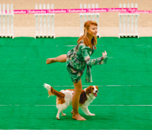 Лючи на Чемпионате РКФ по танцам с собаками фото - 4