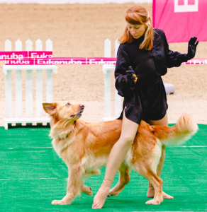 Joy Of Spirit Adel Magic Attraction на соревнованиях по танцам с собаками фото - 3