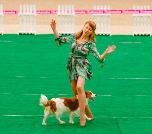 Лючи на квалификационных соревнованиях по танцам с собаками фото - 4
