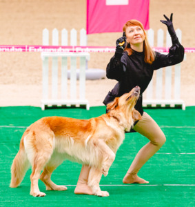 Joy Of Spirit Adel Magic Attraction на соревнованиях по танцам с собаками фото - 6