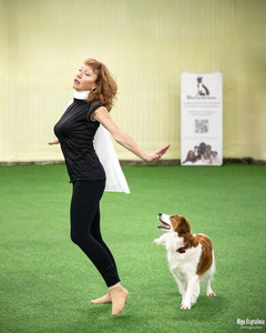 Лючи на соревнованиях по танцам с собаками! фото - 1
