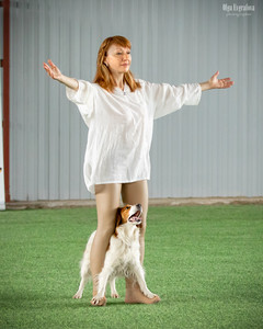 Лючия Стар оф Лак Из Графства Де Гамба на соревнованиях по танцам с собаками фото - 1