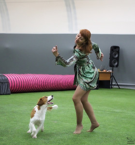 Лючи на выездных соревнованиях по танцам с собаками в Питере фото - 8