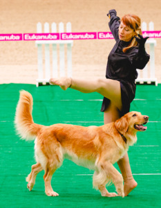 Joy Of Spirit Adel Magic Attraction на соревнованиях по танцам с собаками фото - 1