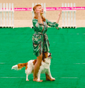 Лючи на Чемпионате РКФ по танцам с собаками фото - 2