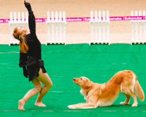 Joy Of Spirit Adel Magic Attraction на соревнованиях по танцам с собаками фото - 5