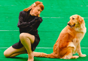 Joy Of Spirit Adel Magic Attraction на соревнованиях по танцам с собаками фото - 2