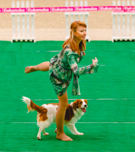 Лючи на квалификационных соревнованиях по танцам с собаками фото - 3