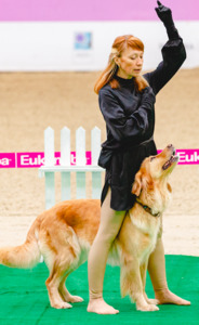 Joy Of Spirit Adel Magic Attraction на соревнованиях по танцам с собаками фото - 8