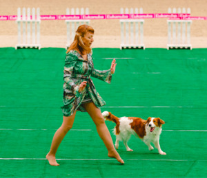Лючи на квалификационных соревнованиях по танцам с собаками фото - 10