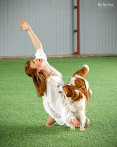 Лючия Стар оф Лак Из Графства Де Гамба на соревнованиях по танцам с собаками фото - 3
