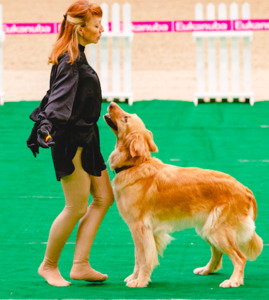 Joy Of Spirit Adel Magic Attraction на соревнованиях по танцам с собаками фото - 7