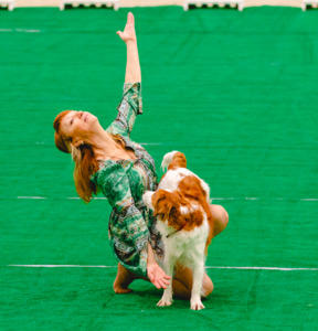 Лючи на квалификационных соревнованиях по танцам с собаками фото - 7